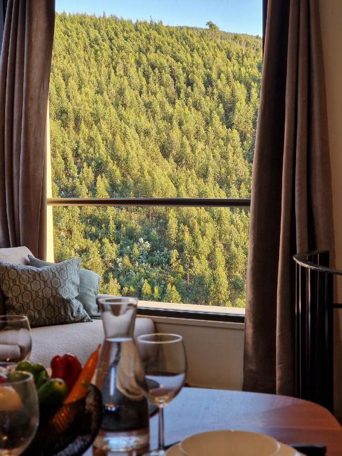Casas De Gondarem By The Douro Valley Raiva Luaran gambar